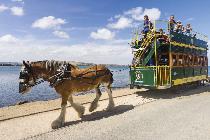Horse Drawn Tram to Granite Island