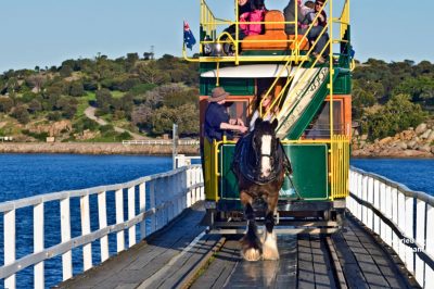 horse drawn trams