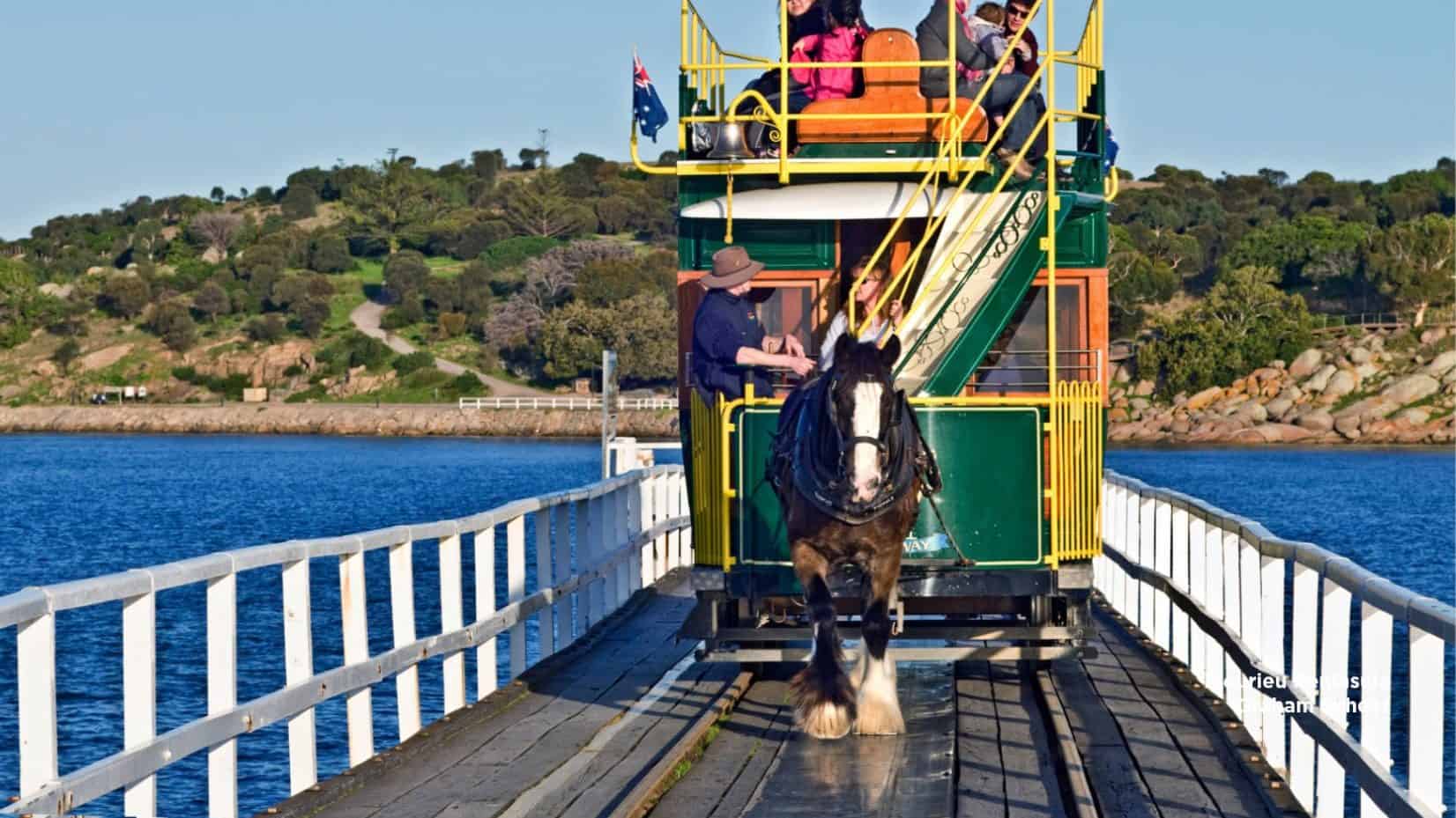 horse drawn trams